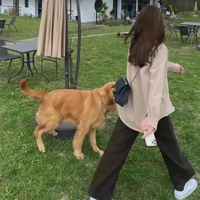骷髅人